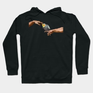 michelangelo cockatiel Hoodie